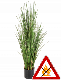 Honiggras ca. 80 cm, permanent schwerentflammbar.